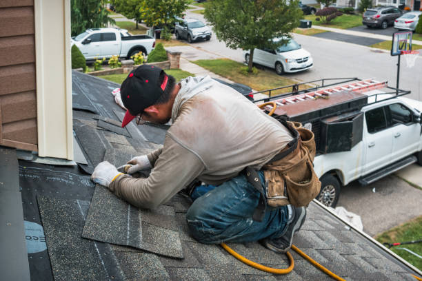 Professional Roof Replacement technician working in Elfers, FL